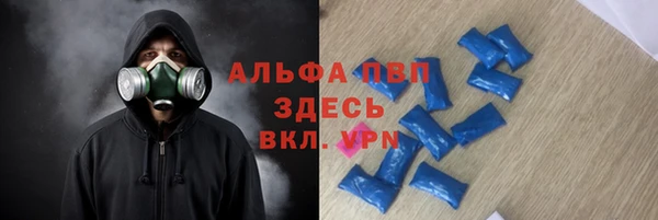 мяу мяу мука Абаза